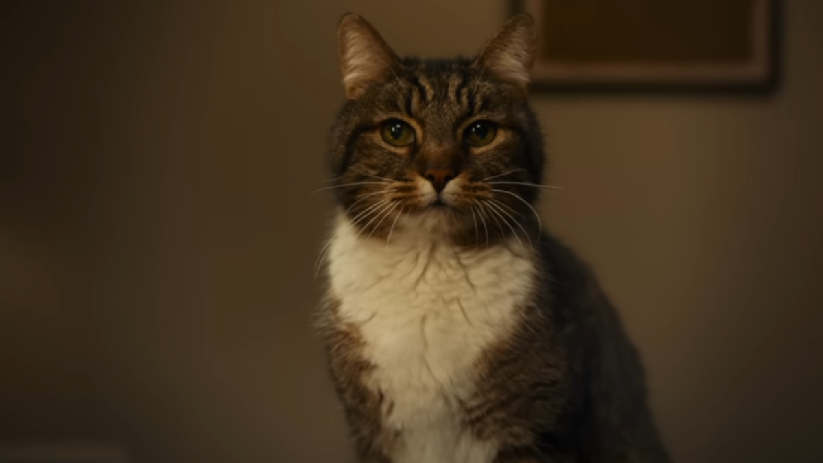 422691iOS 26 и ИИ: Apple наконец-то догоняет конкурентов?