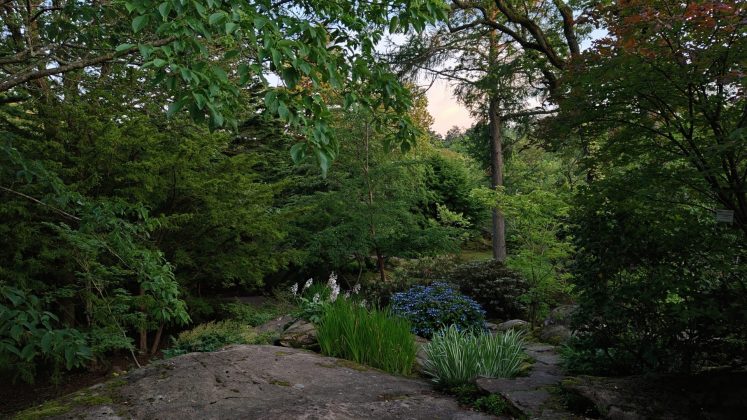 Я протестировал будущее телефонных камер, но оно не от Samsung или Apple