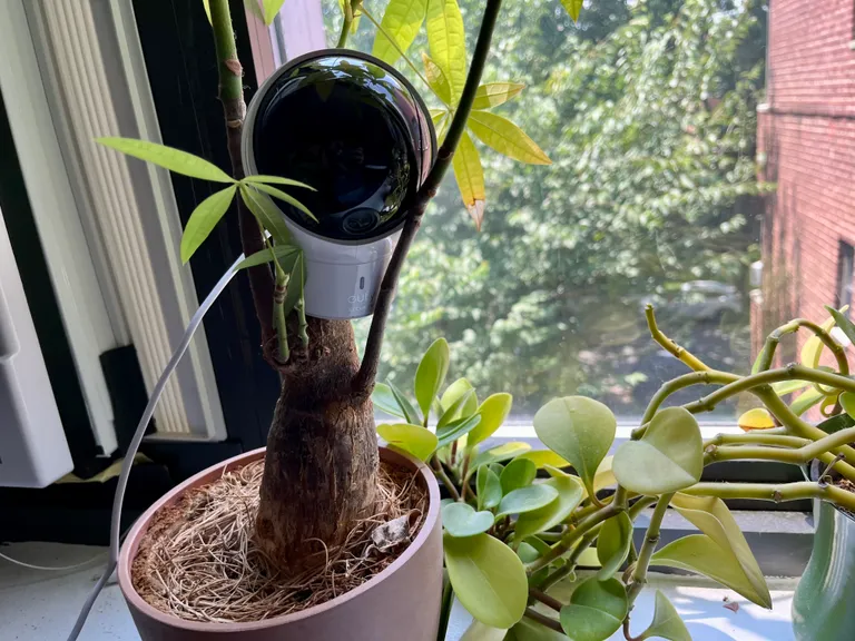 Лучшие видеоняни