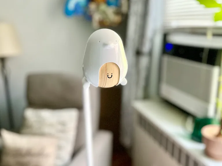 Лучшие видеоняни