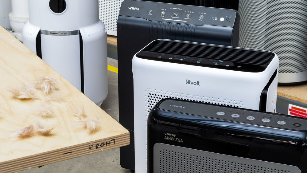 Какой купить очиститель воздуха от шерсти животных в 2025 году?