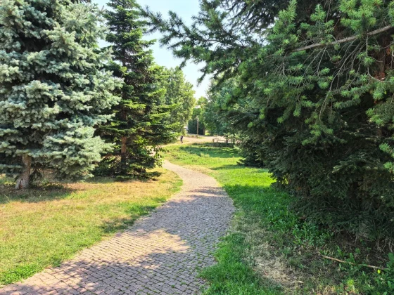 Обзор Huawei Pura 80 Ultra: одной ногой в будущем, другой — в прошлом фото