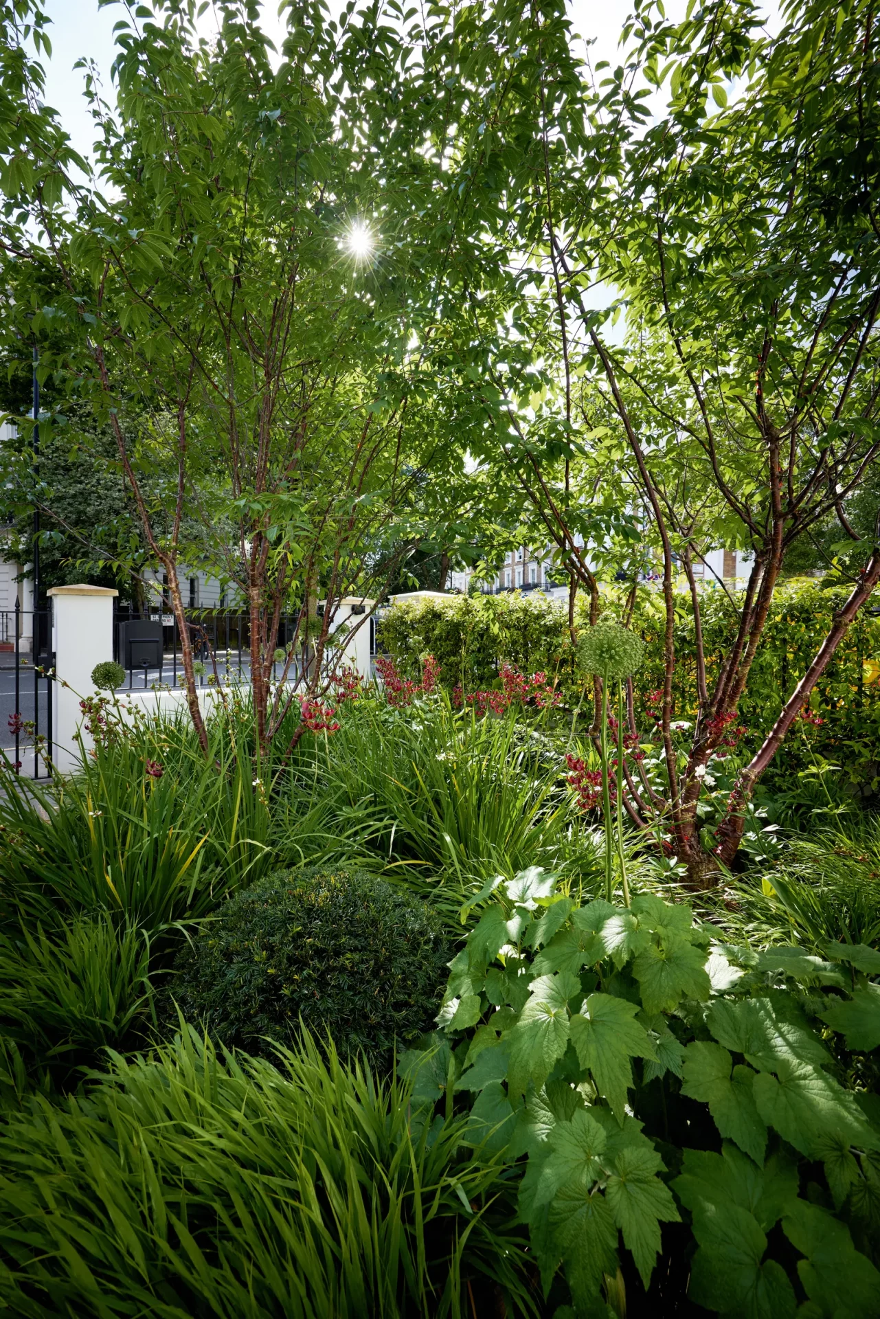 маленький сад