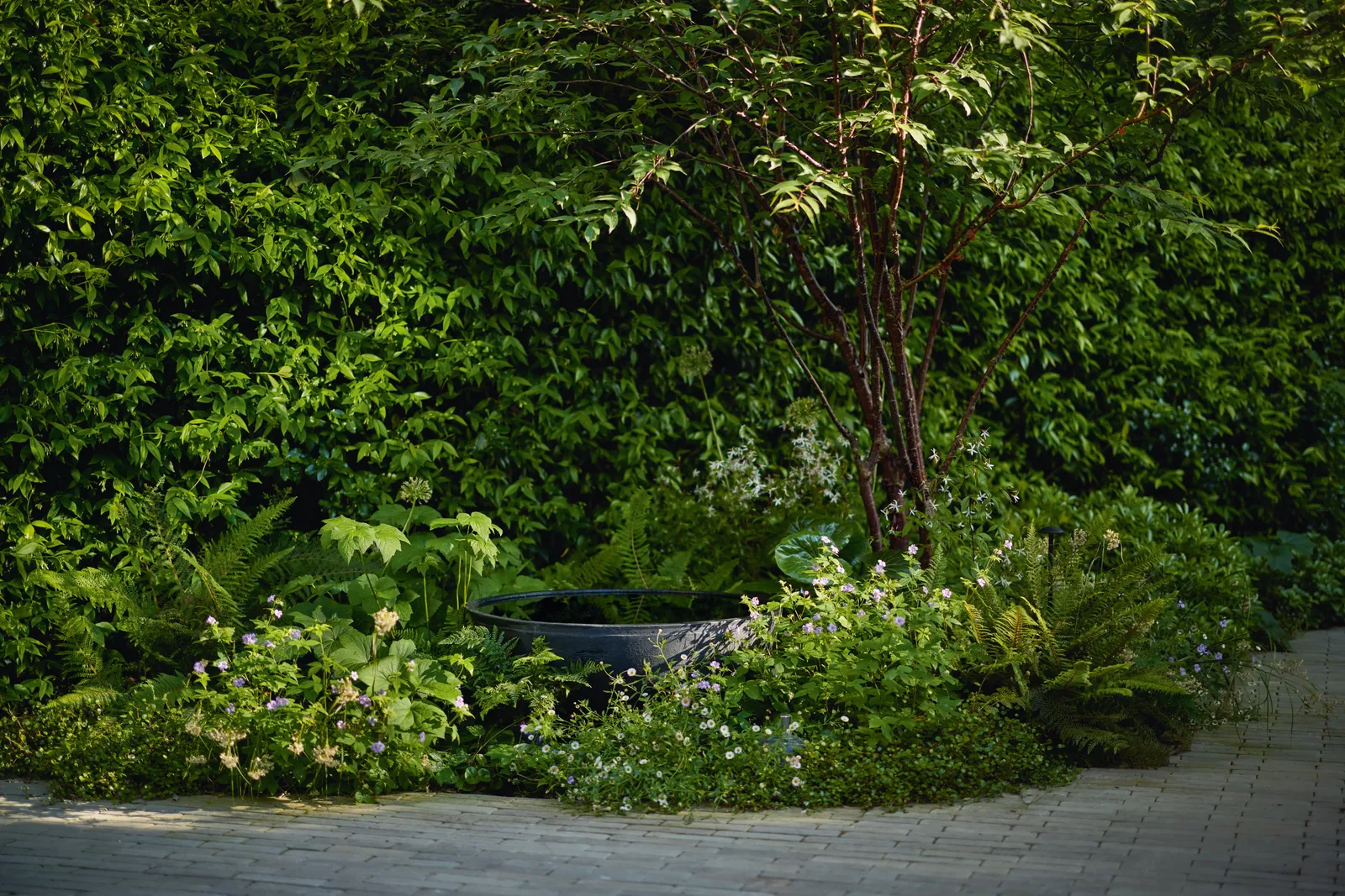 маленький сад