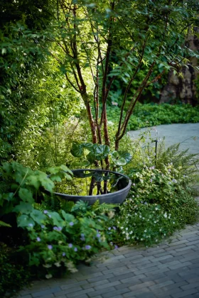 маленький сад