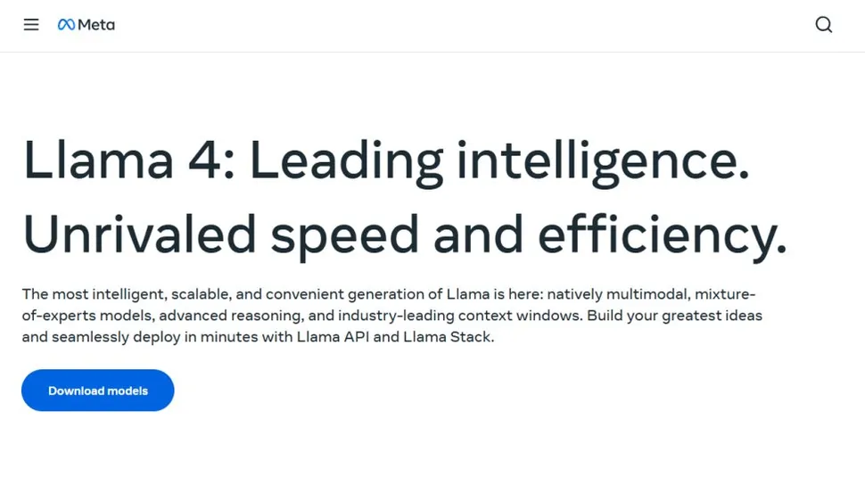 Meta LLama