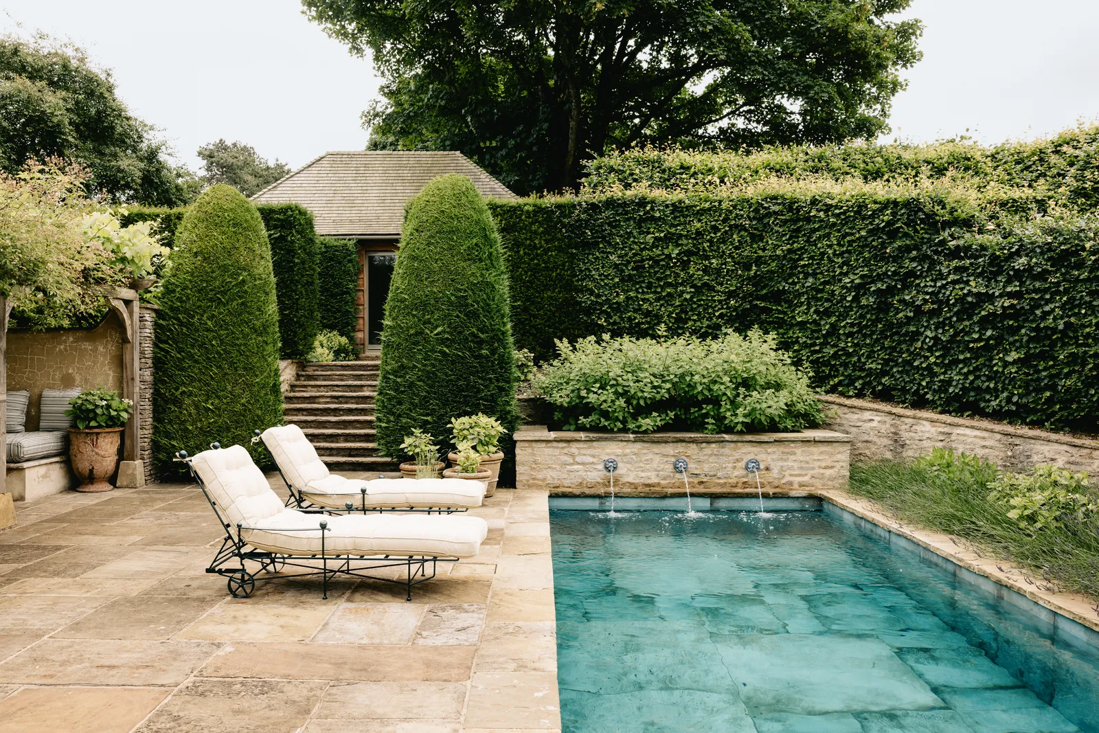 Почему стоит подумать о разделении вашего сада