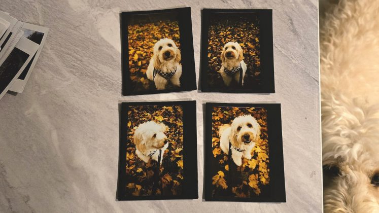 Lomo’Instant Wide Glass