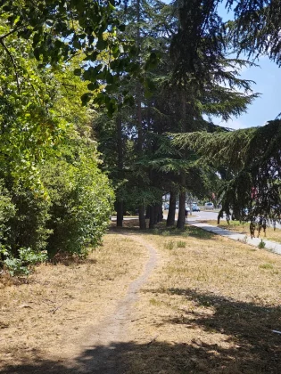 Обзор Motorola Razr Plus (2025): лучший складной телефон, который вы не заметите фото