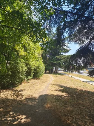 Обзор Motorola Razr Plus (2025): лучший складной телефон, который вы не заметите фото