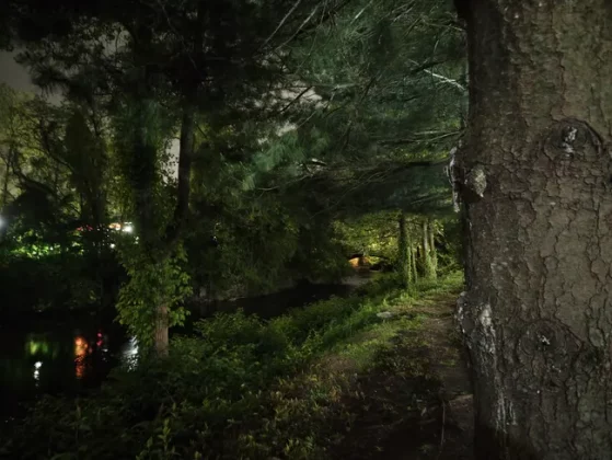 Обзор Razr Ultra 2025: стиль и содержание в одном флаконе фото