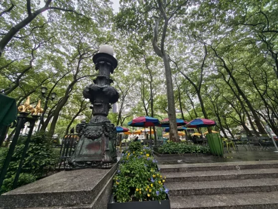 Обзор Razr Ultra 2025: стиль и содержание в одном флаконе фото