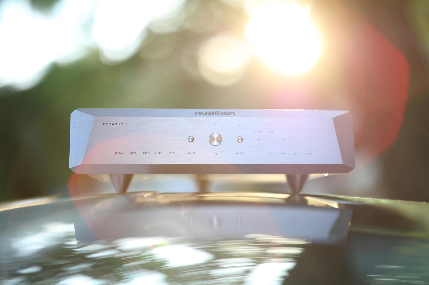 Musician Pegasus II 8