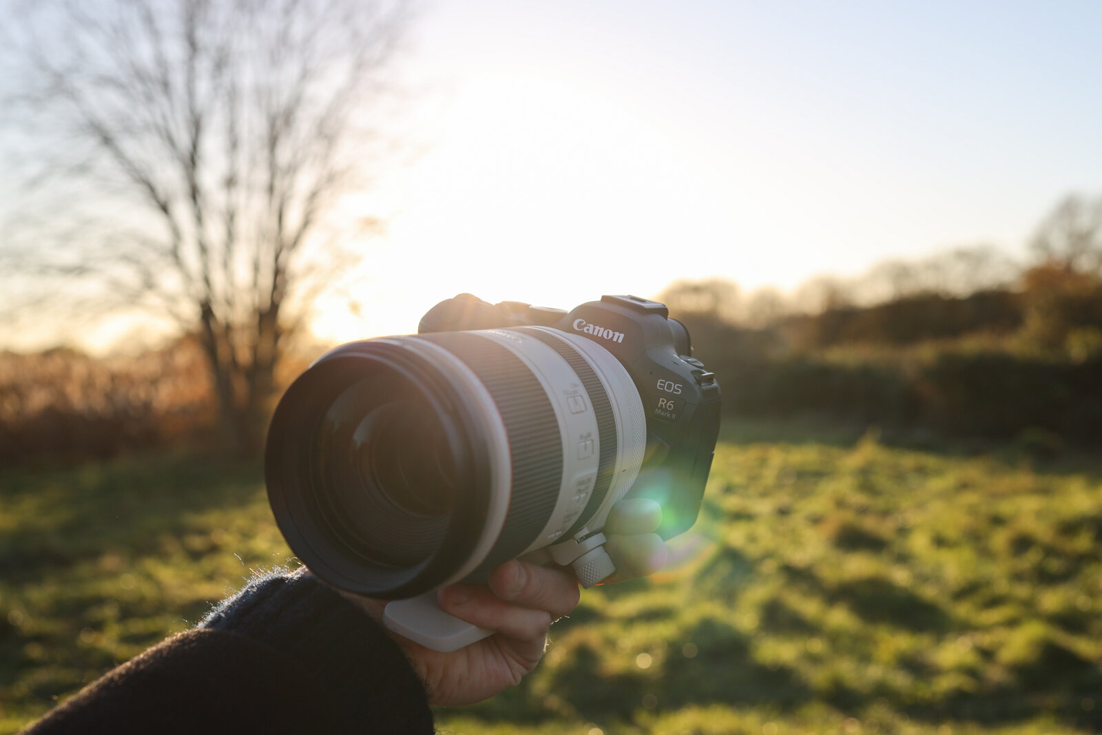 объективы Canon RF