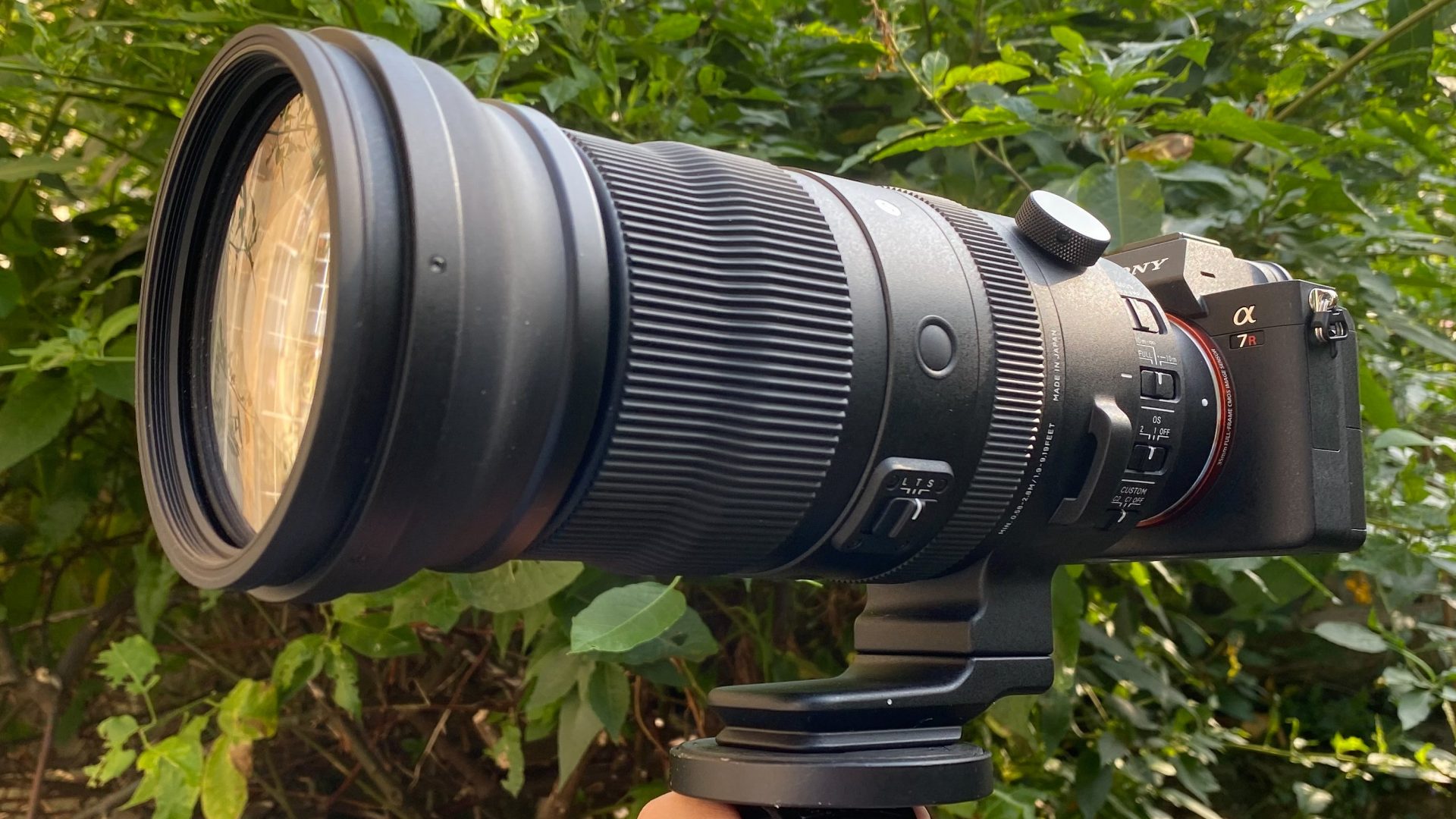 Sigma 150-600mm f/5-6.3 DG DN OS Sports 󠁩󠁩󠁩󠁩󠁩󠁩