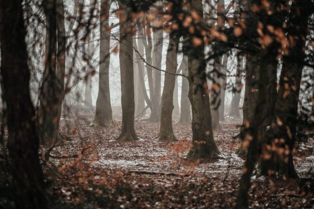 Fujifilm XF 35 mm f/2 R WR