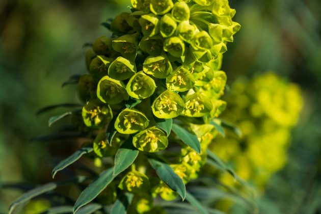 Fujifilm XF 16-55 mm f/2.8 R LM WR II