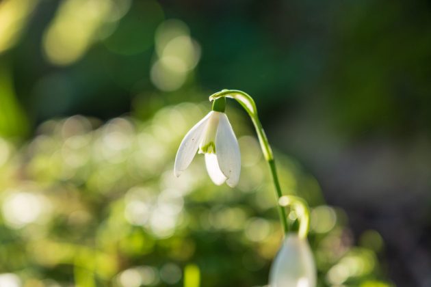 Fujifilm XF 16-55 mm f/2.8 R LM WR II