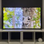 Sony Bravia 8 II