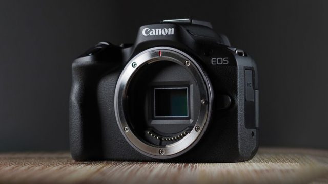 В июне Canon EOS R50 и Sony ZV-E10/ II заняли почти 50 % в топ-20 продаж камер в Японии