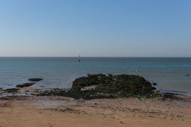 Panasonic Lumix S1 II