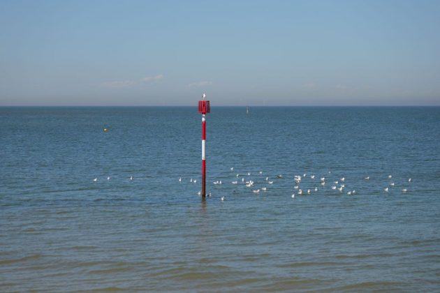 Panasonic Lumix S1 II