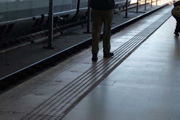 Panasonic Lumix S1 II