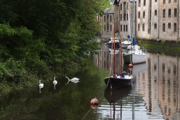 Panasonic Lumix S1 II