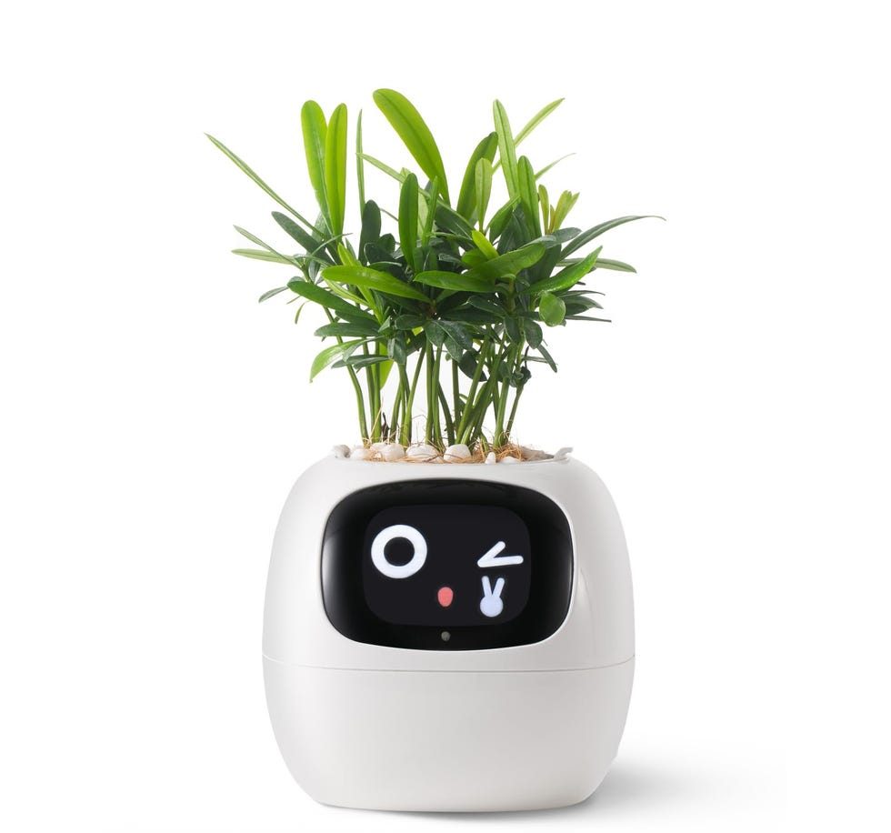 Plantsio Smart Pet Planter Robot