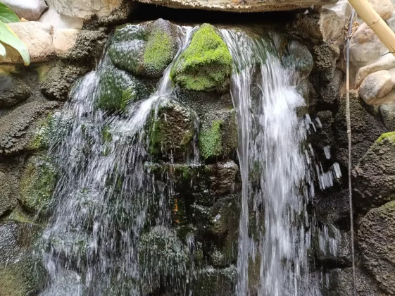 Обзор Poco M7 Pro: падение на финишной прямой фото