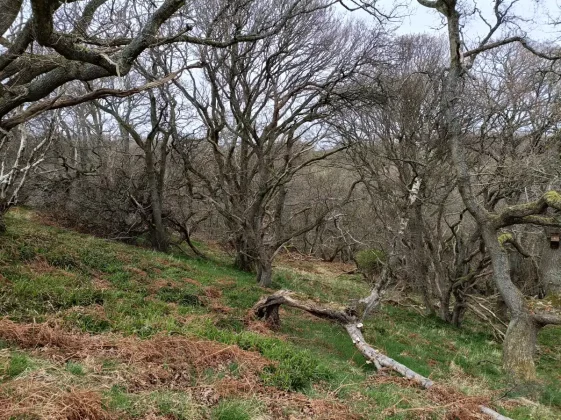 Обзор Poco M7 Pro: падение на финишной прямой фото