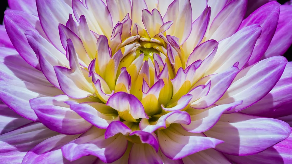 404447Что такое последовательность Фибоначчи?