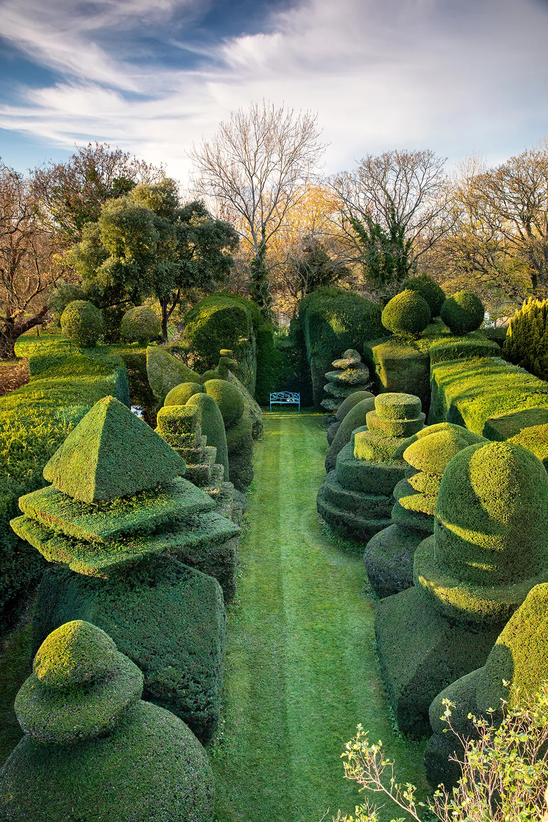 Почему стоит подумать о разделении вашего сада