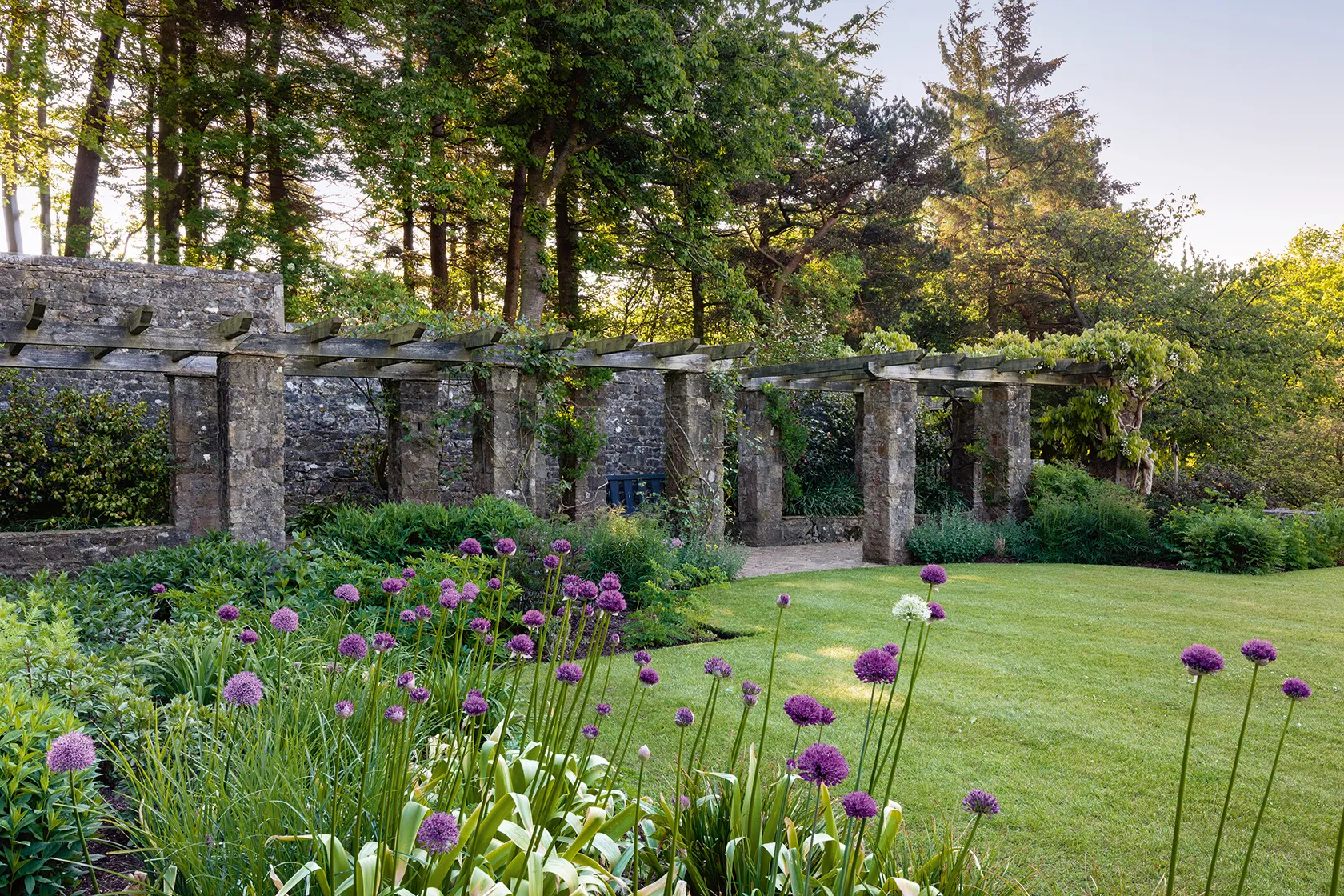 Идеи для пергол в садах любого размера и дизайна