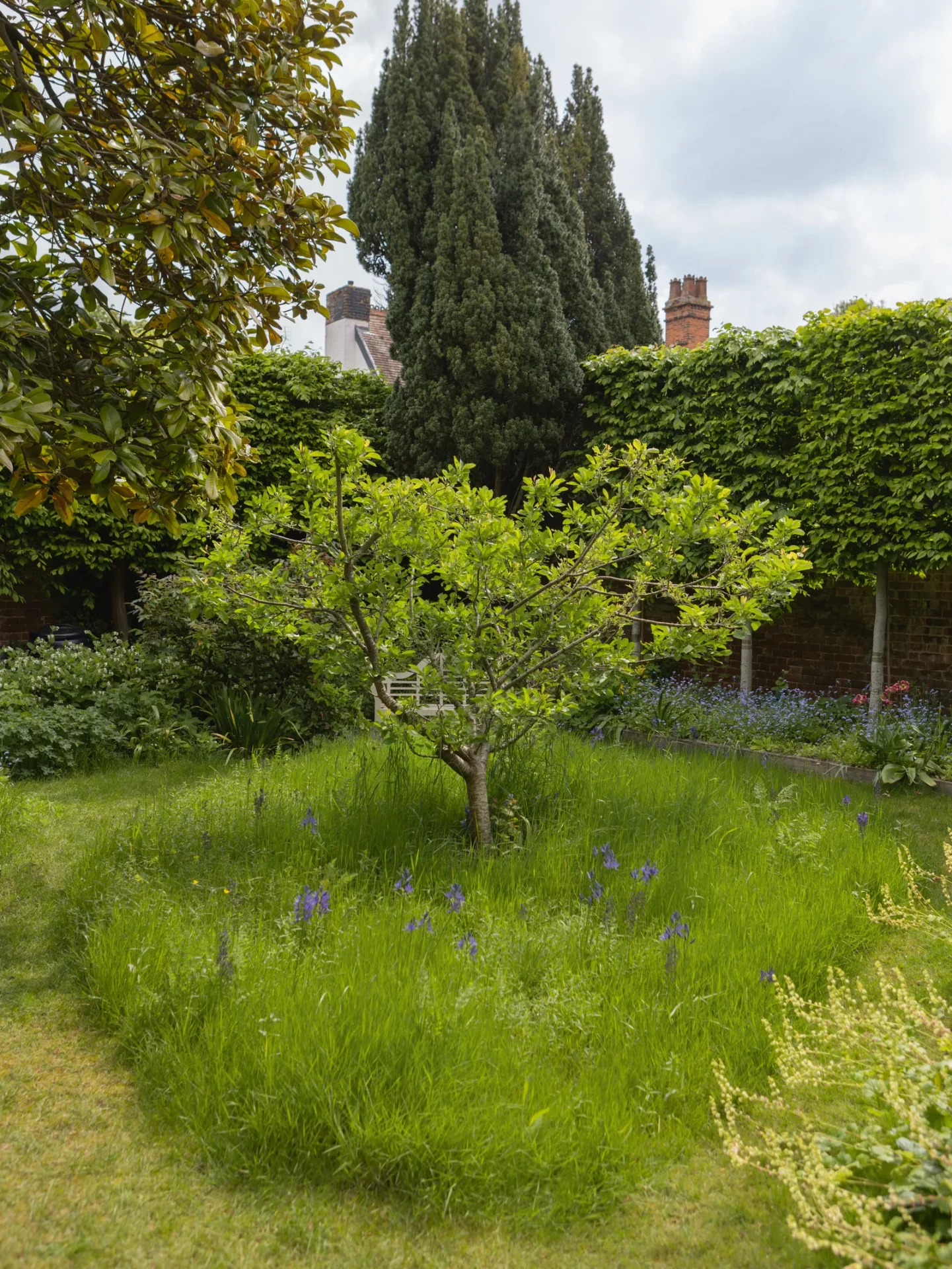сад в английском стиле