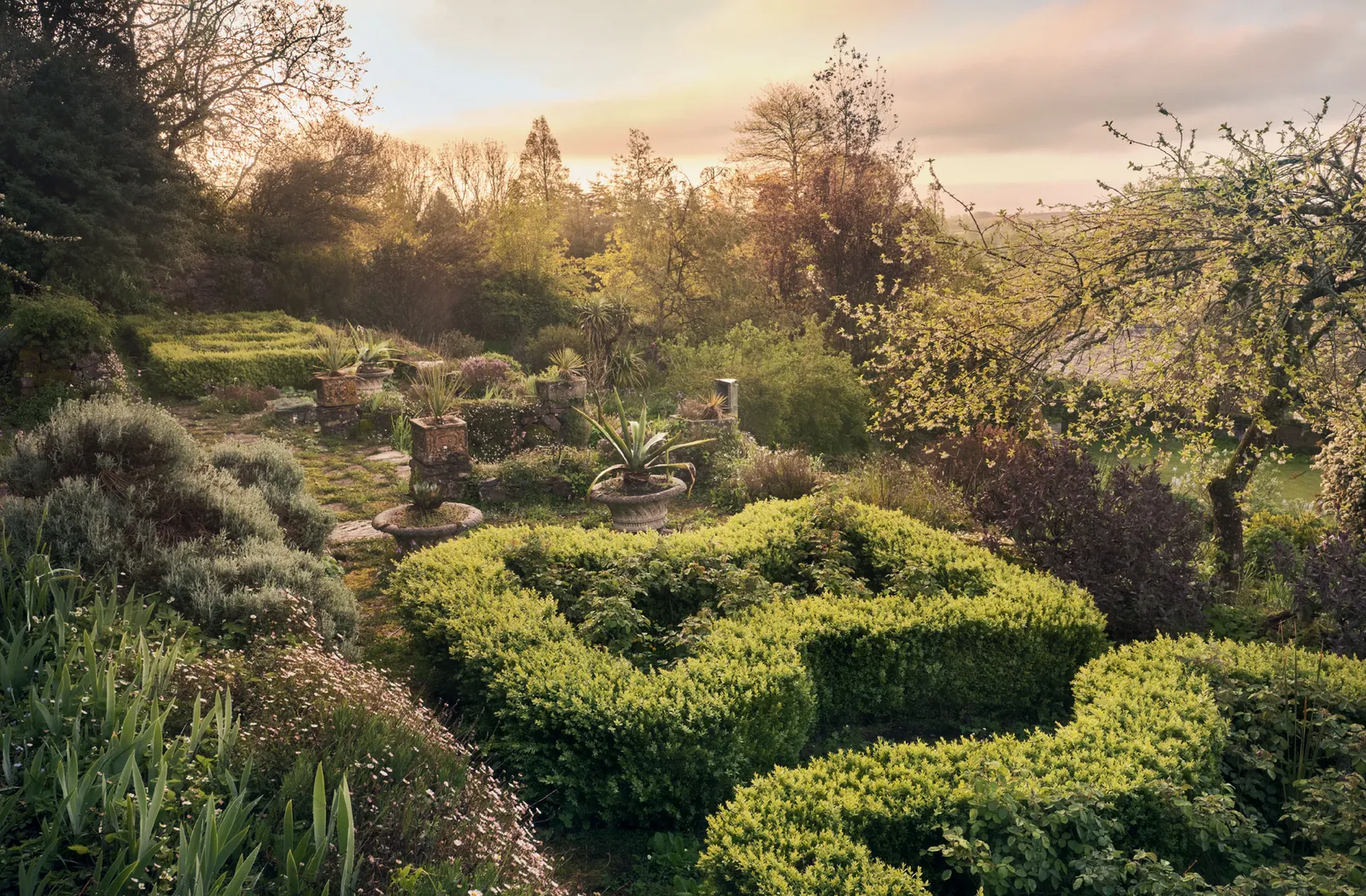 сад в английском стиле 32