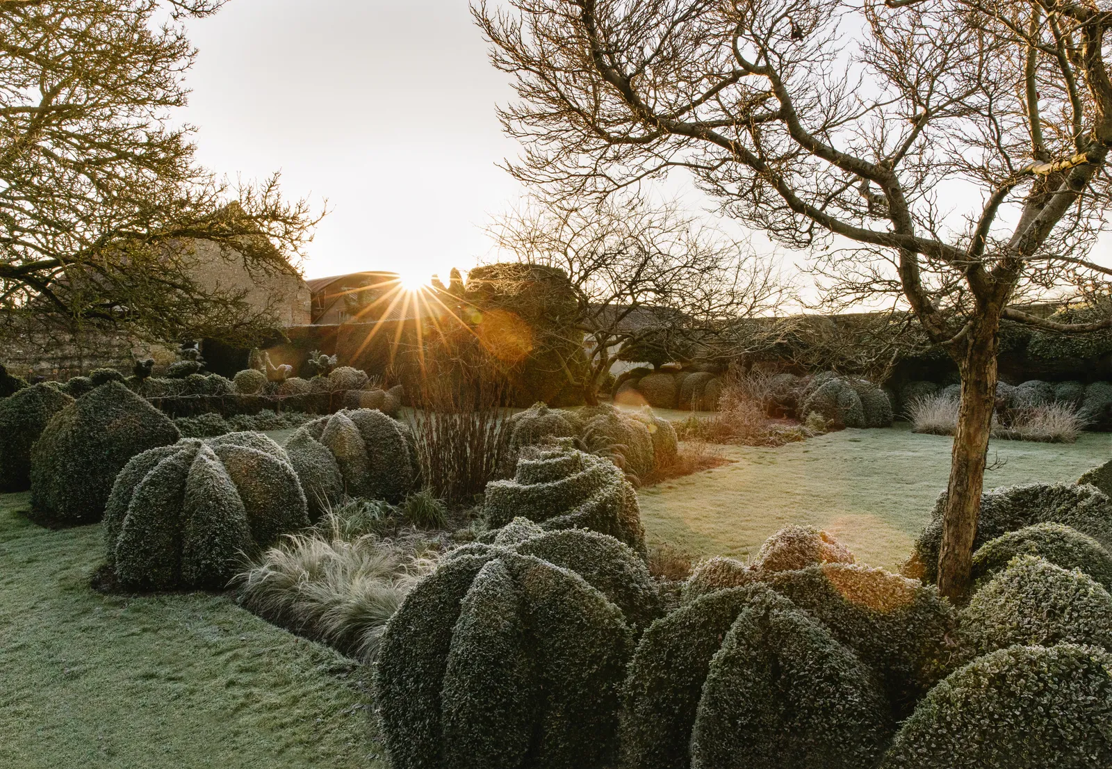 сад в английском стиле 32