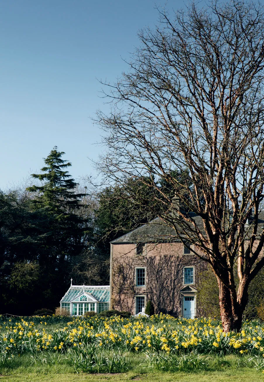 сад в английском стиле 32