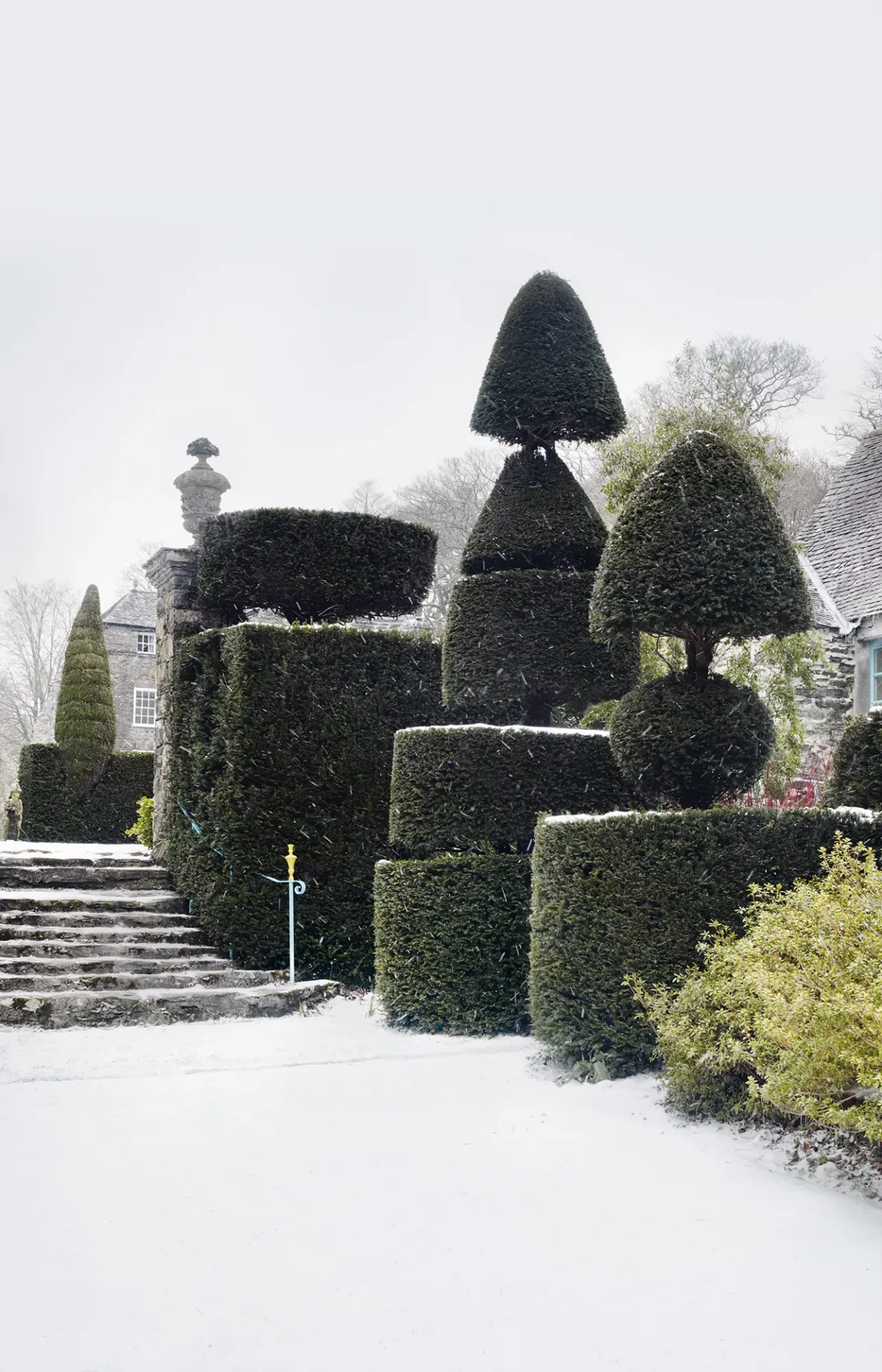 сад в английском стиле 32