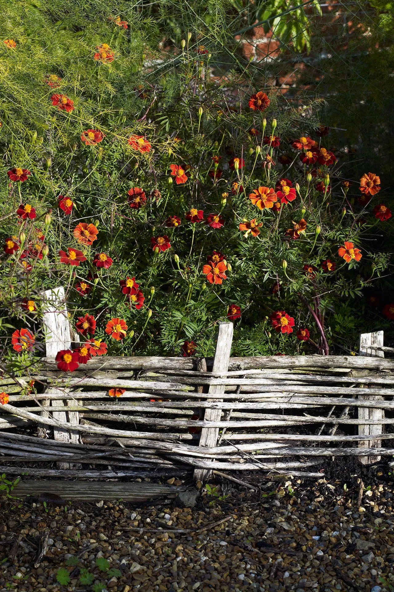 сад в английском стиле 32