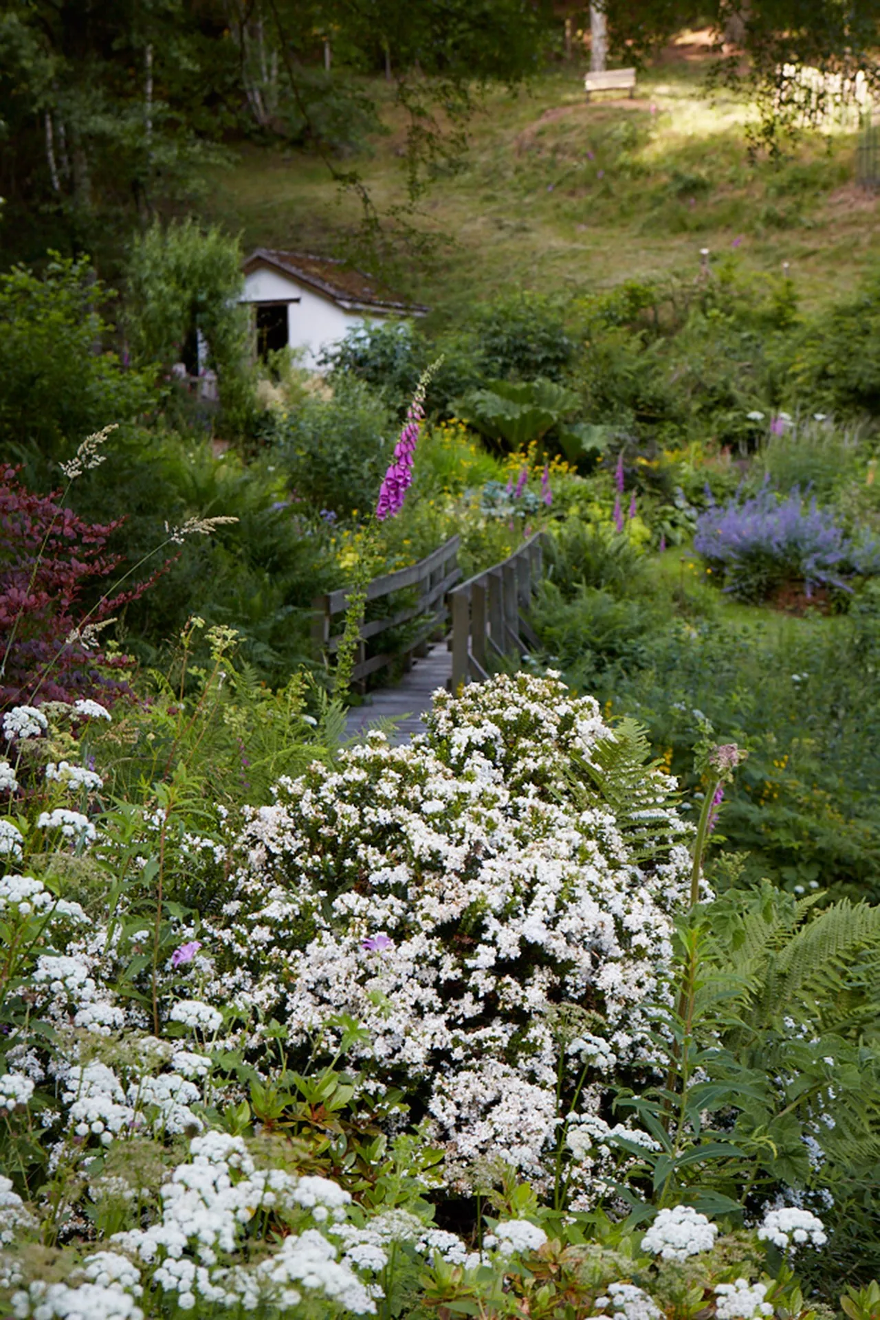 сад в английском стиле