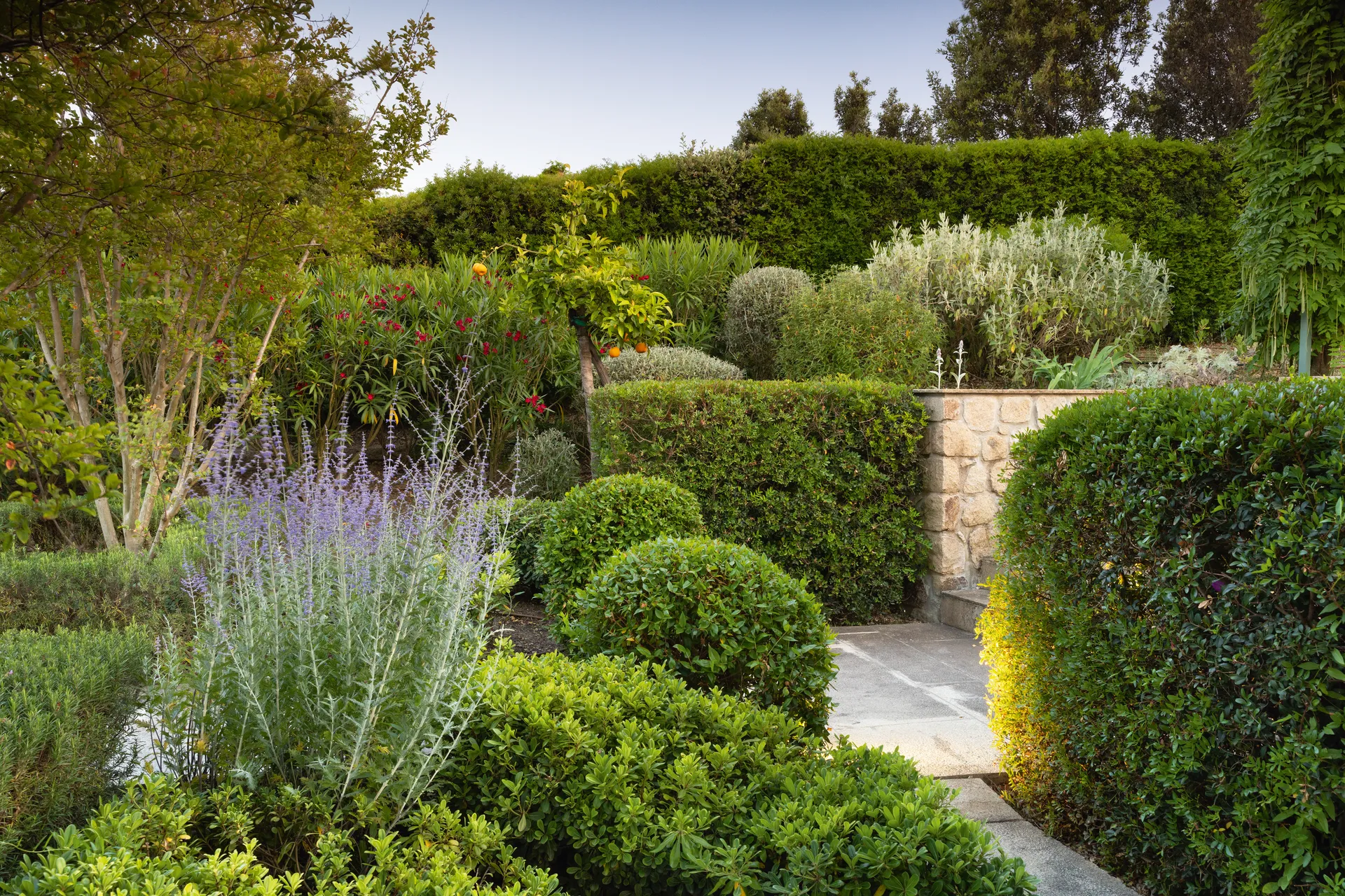 сад в Тоскане