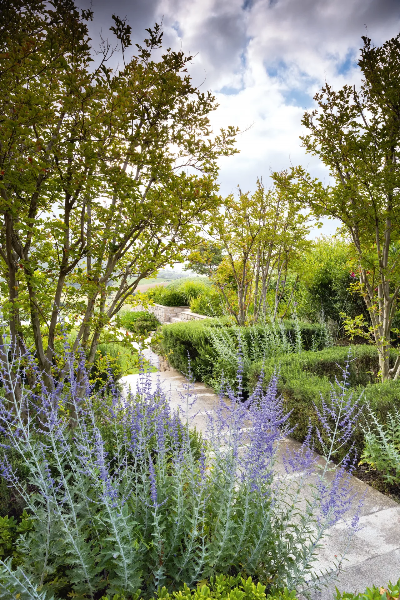 сад в Тоскане