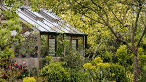 Садоводство для начинающих: простые решения для новичков