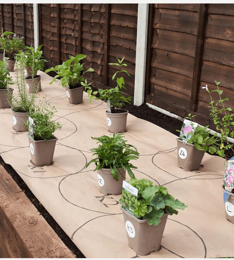 садоводство для начинающих