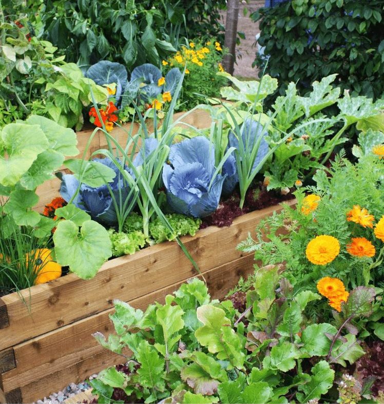 садоводство для начинающих