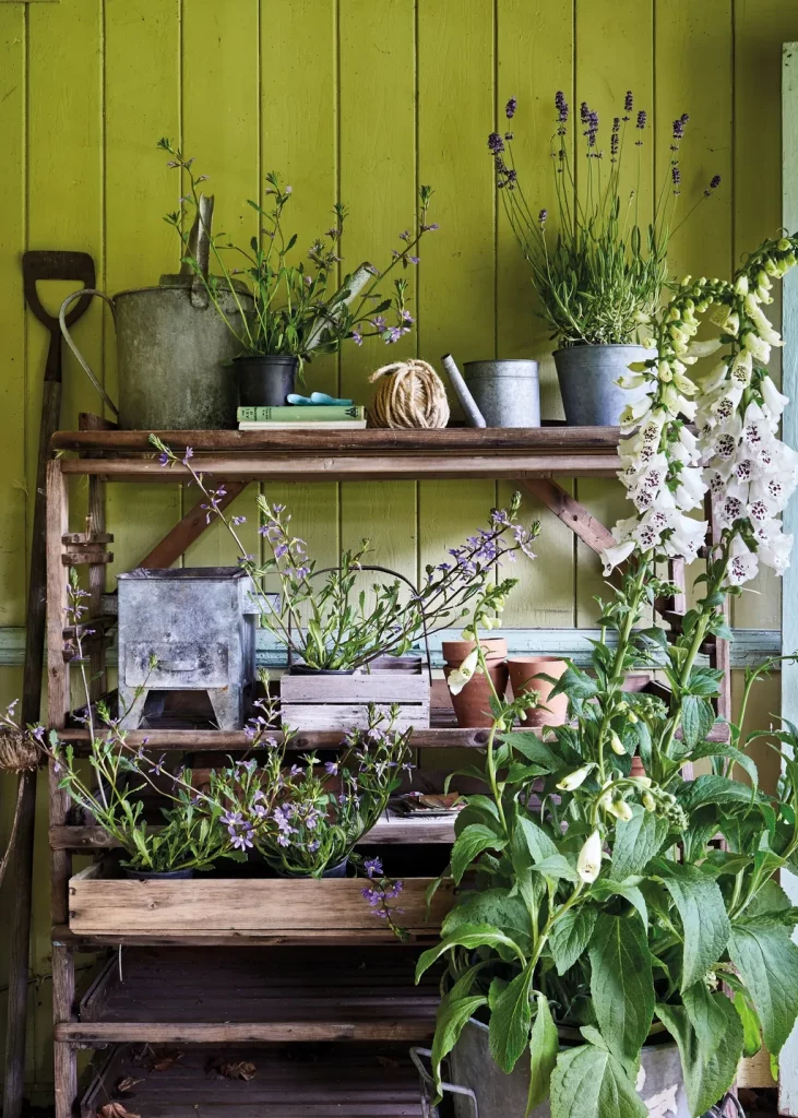 Садовый сарай: 10 идей в современном стиле картинка Садовый сарай