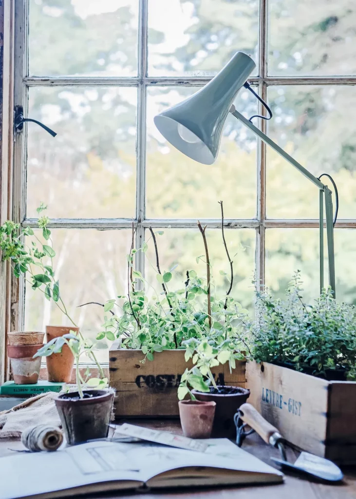 Садовый сарай: 10 идей в современном стиле картинка Садовый сарай