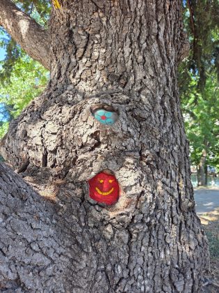 Samsung Galaxy S25 Plus