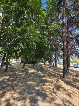 Samsung Galaxy S25 Plus